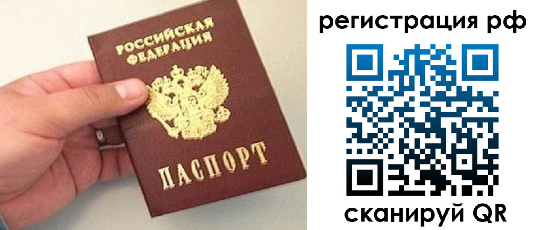регистрация для дет. сада в Дмитрове